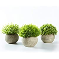 Jobary Set de 3 Plantas Artificiales con Césped Verde en Macetas Grises- Plantas Pequeñas Sintéticas de Plástico…